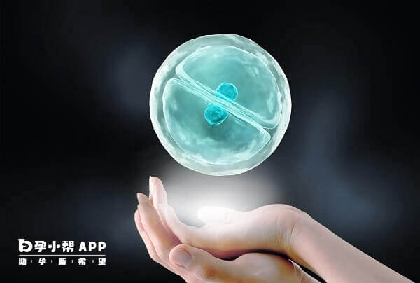 试管促排期间一定要做卵泡监测