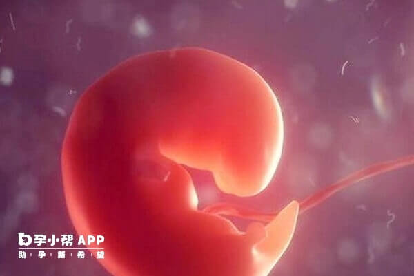 胎动不安可吃保胎灵片