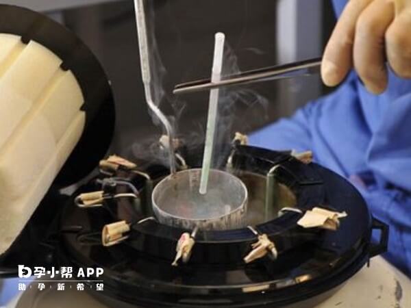 冷冻保护剂可以防止细胞出现冰晶形成