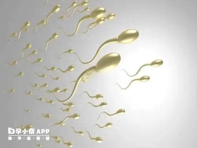 男方的禁欲时间对精液质量有重要影响