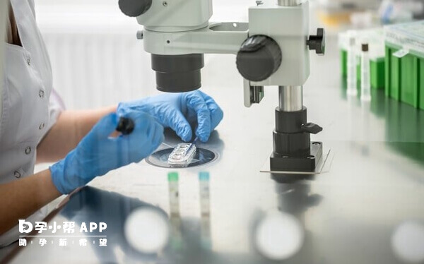 乌克兰的人类辅助生殖技术处于世界领先水平