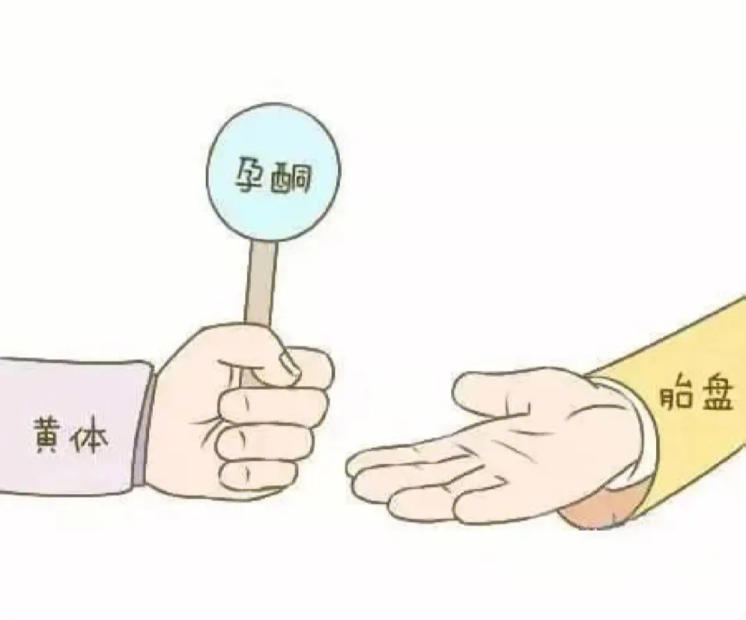 孕酮低是什么原因造成的，孕酮低吃什么补得快