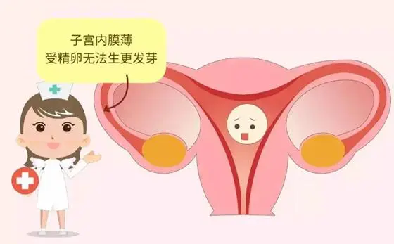 子宫内膜薄