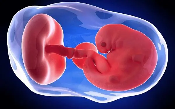 怀孕40天有点少量出血正常吗