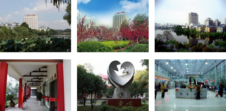 南京医科大学第二临床医学院