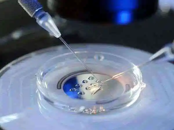 广州做试管攻略指南（附做试管医院名单与介绍）