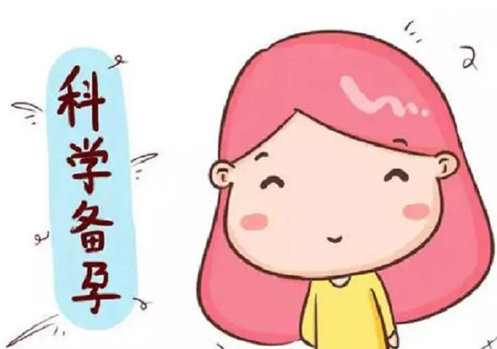 男人备孕吃什么补精活力最好