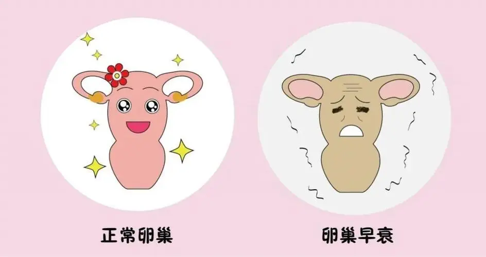 卵巢早衰的现象有哪些？