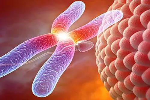 香港生殖助孕医院排名 香港生殖助孕医院排名