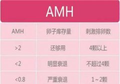 检查性激素六项和amh有什么区别