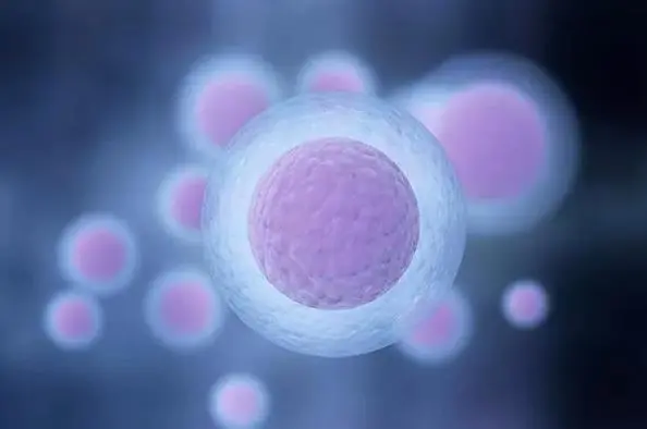 卵巢早衰做试管一般几次成功