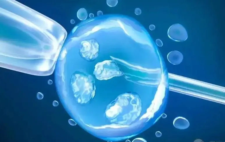 广州做三代试管婴儿需要哪些条件