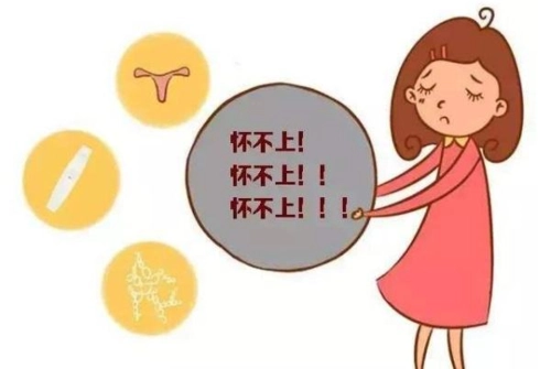 女性染色体不孕表现