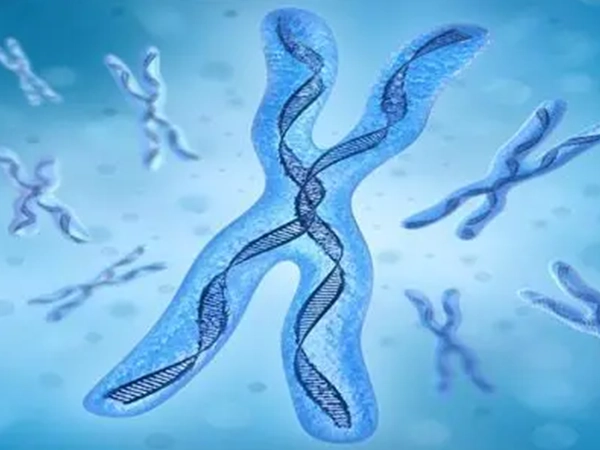 染色体异常和精子有关系吗