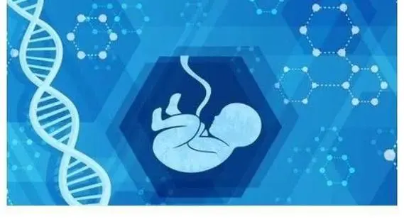 广州三代试管最好的私立医院