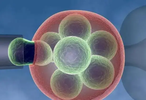 借卵做试管的医院