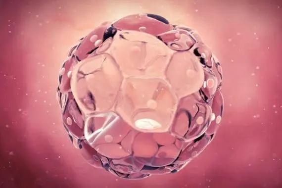 试管移植成功经验