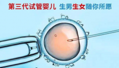 在深圳做三代试管可以自由选择男女吗？权威解答