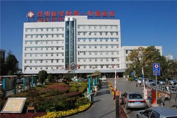 速存梅