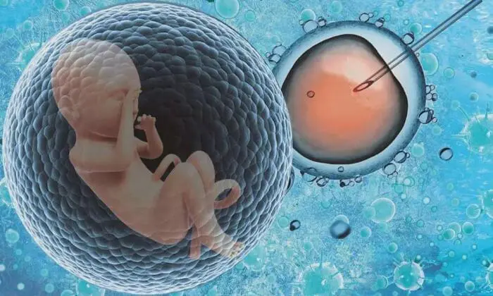 深圳试管婴儿费用是多少