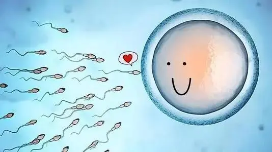 试管婴儿条件要求