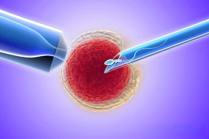 三代试管生男孩