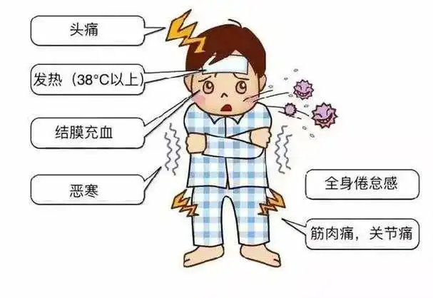 乙型流感症状有哪些