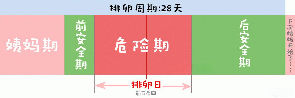 安全期是月经前几天和月经后几天