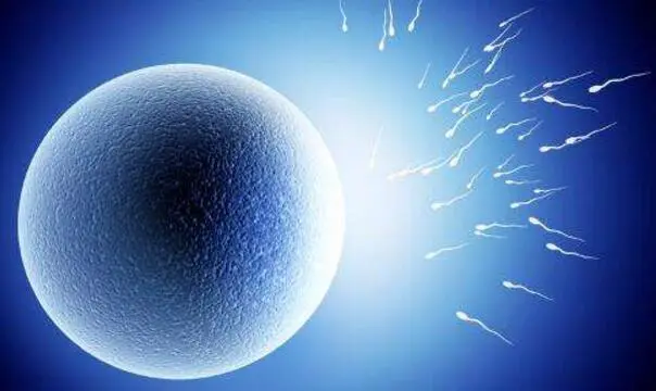 做试管婴儿的短方案与长方案的区别