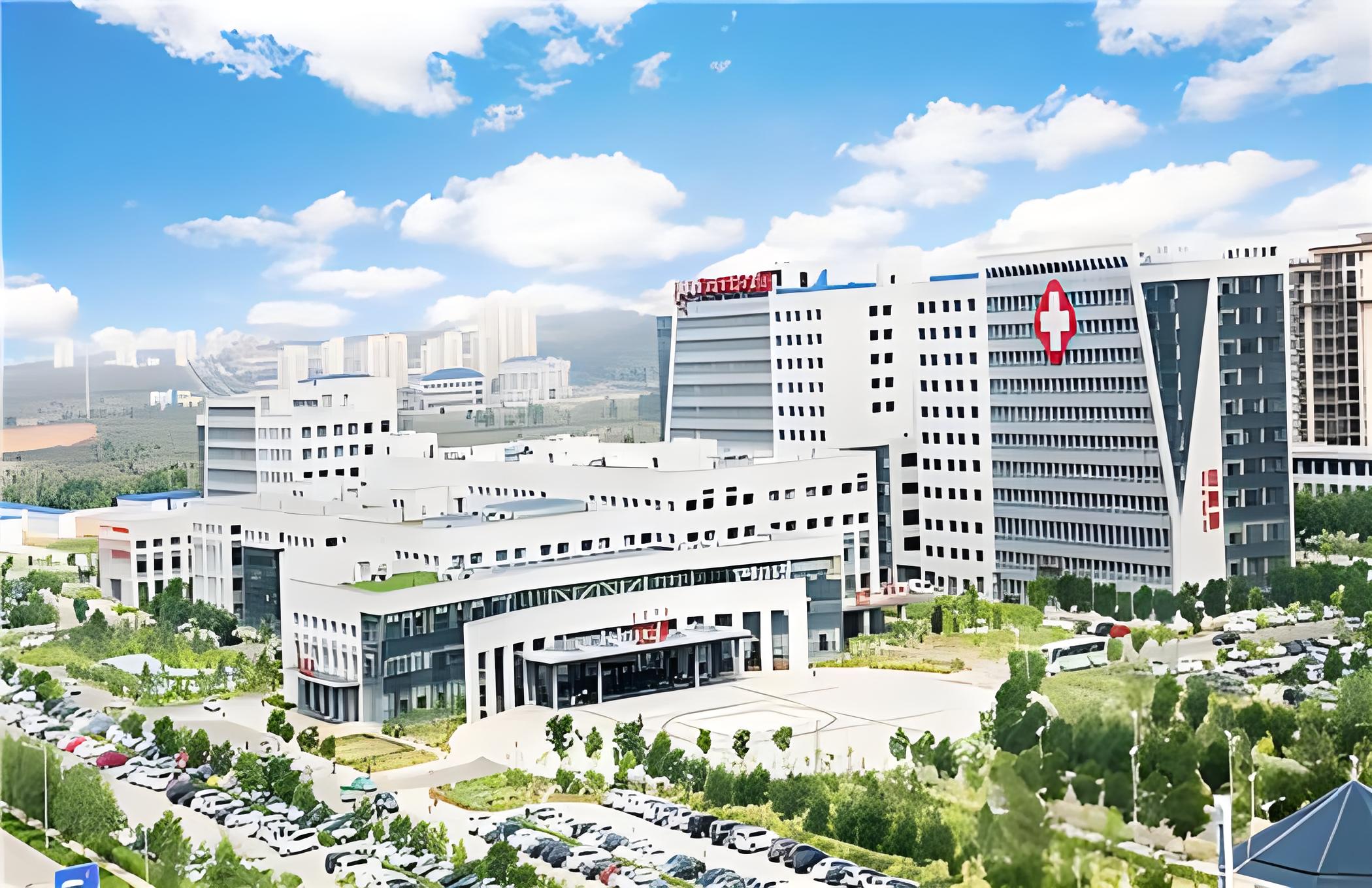 鄂尔多斯市试管医院排名