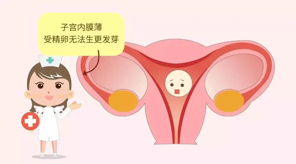 子宫内膜薄用什么药调理好