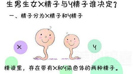 广州能做精子分离术的医院