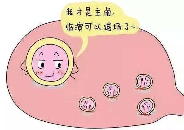 5个卵泡能配成几个胚胎