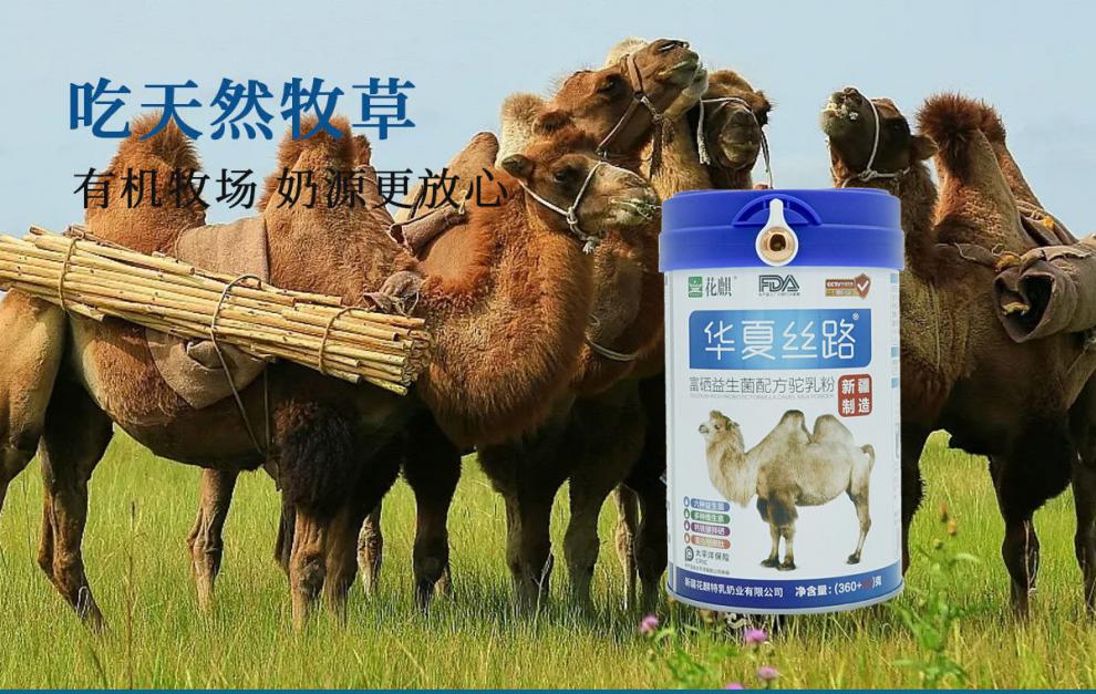 骆驼奶粉的功效与作用