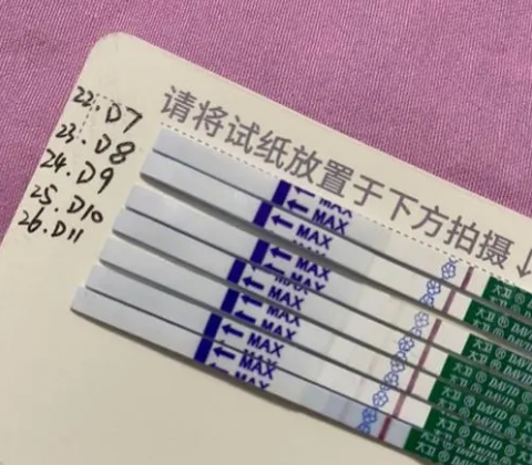 3bb囊胚几天测出来