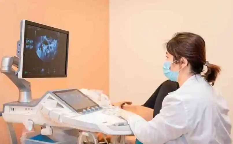 NT三个亮点是男孩女孩 NT三个亮点是男孩女孩