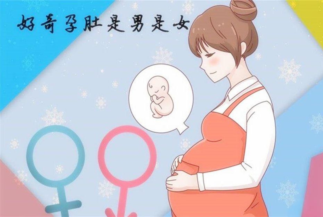 10秒测出怀男孩和女孩