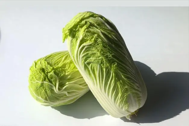 十大碱性食物排名