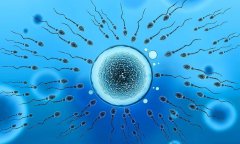 开封哪家医院可以做试管