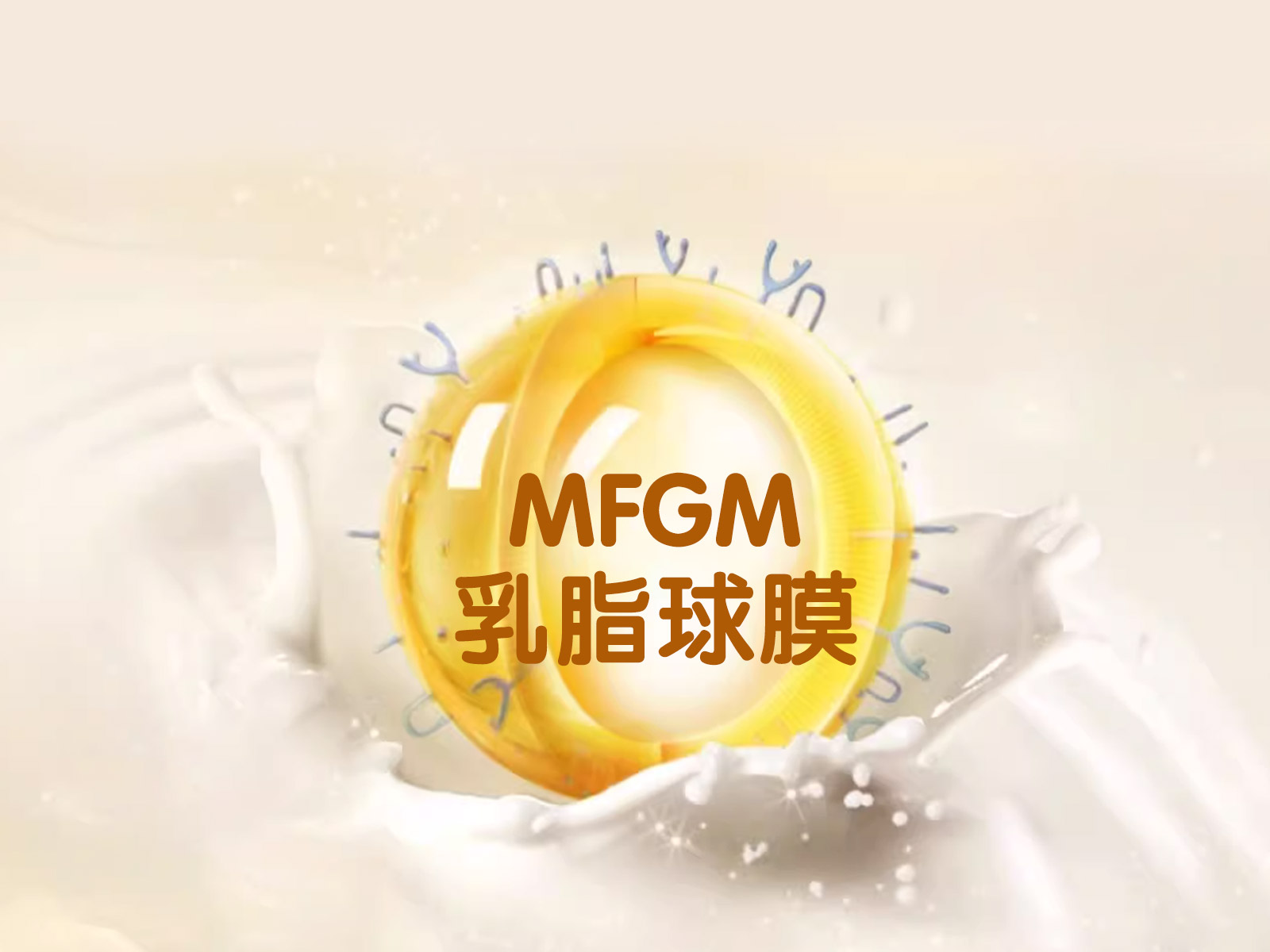 金领冠奶粉怎么样