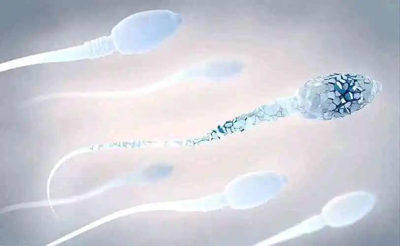 女性吃精子会不会怀孕，听说对皮肤好是不是真的