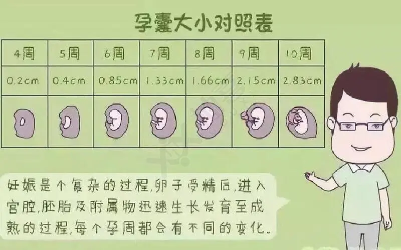 超级准确的孕囊大小看男女99%准确对照表在线一览