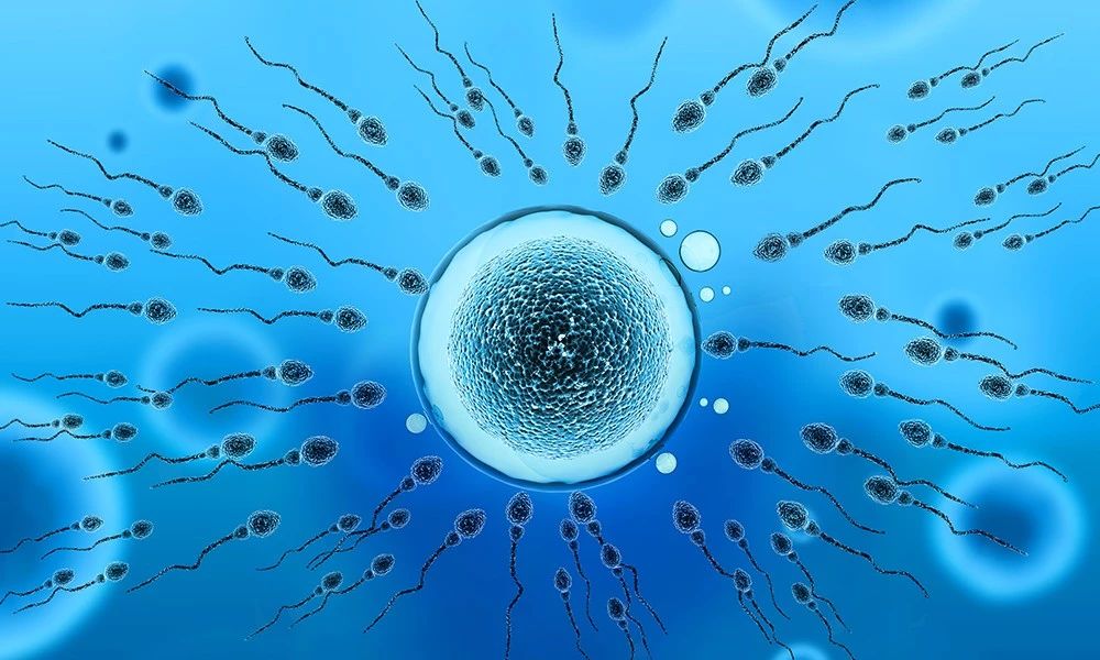 石女是什么意思，石女可不可以做试管婴儿