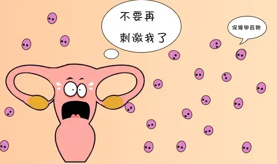 什么叫做卵巢过度刺激综合症？附相关恢复方法介绍