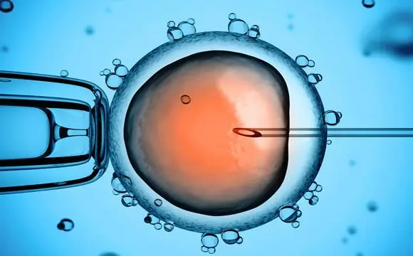 国内做试管婴儿的流程：附详细流程步骤解析