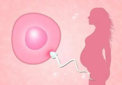 在广州地区用别人卵子做试管费用一般多少