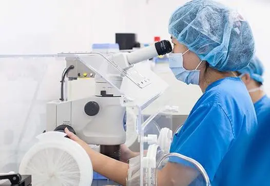 在国内2024人工助孕的费用要多少？附详细清单分享