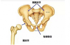 在孕期间孕妇为什么耻骨会痛?附图片讲解