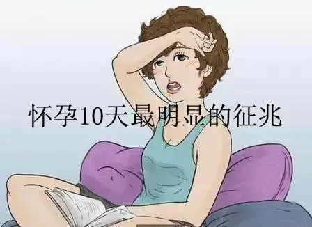 怀孕10天最明显的征兆：晨吐，腹痛等症状不请自来