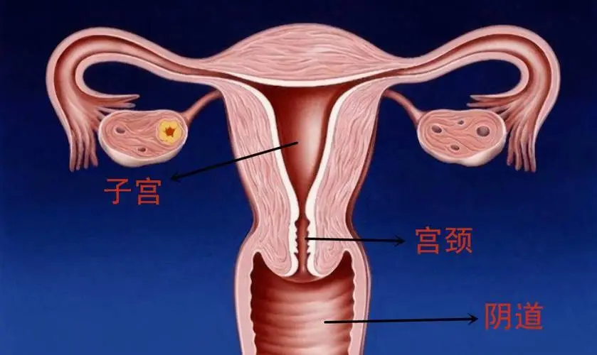 同房后用纸擦有淡红色血竟然与这三种原因息息相关